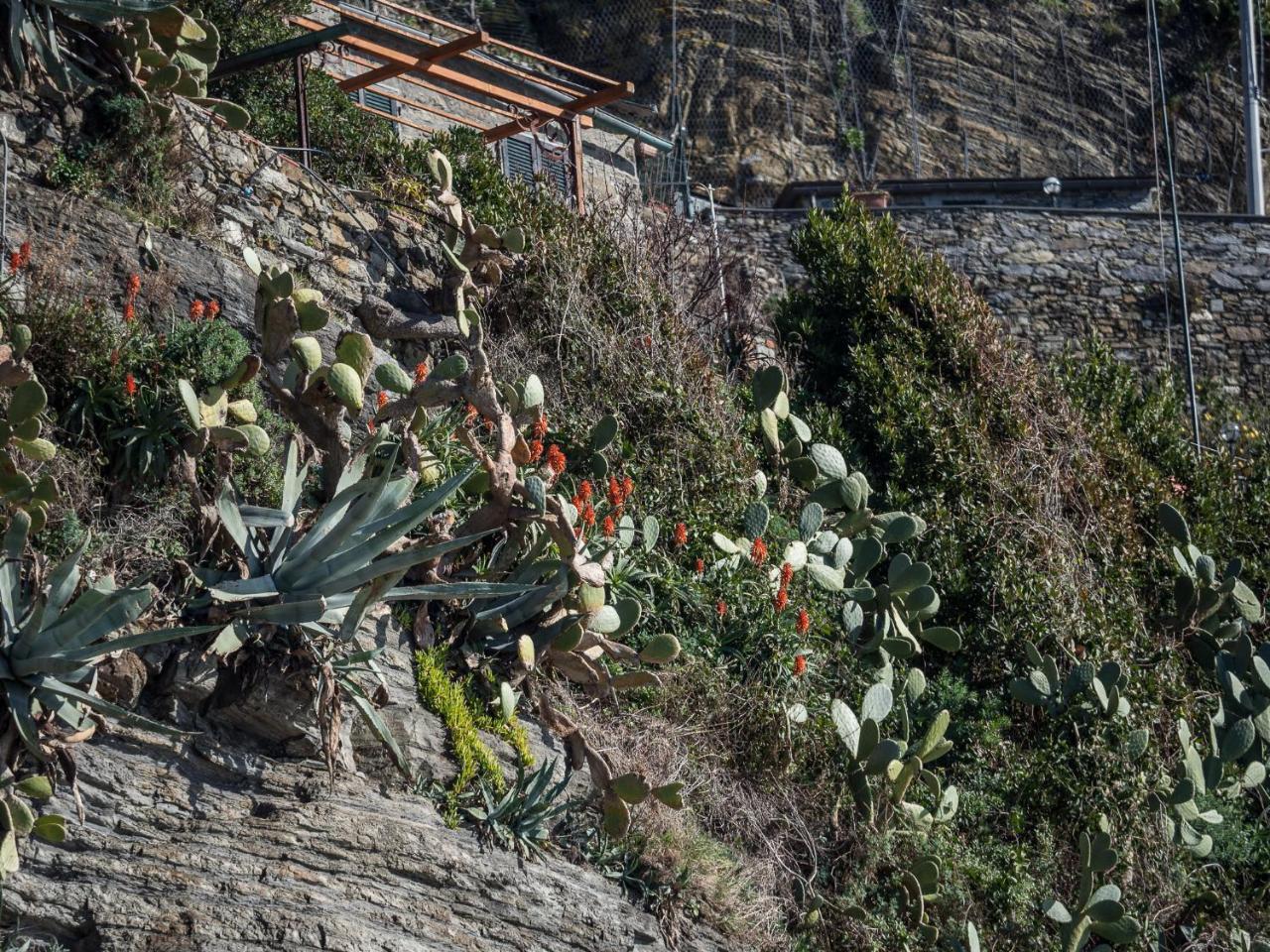 Unda de Ma Sea View Terrace Apartment Vernazza Exterior foto